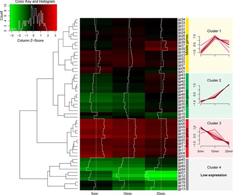 Transcriptomic Profile Of Abp1 Genes In The Host Cells Left