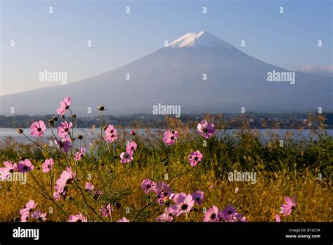 Mount Fuji seen from Lake Kawaguchi in Japan Stock Photo - Alamy