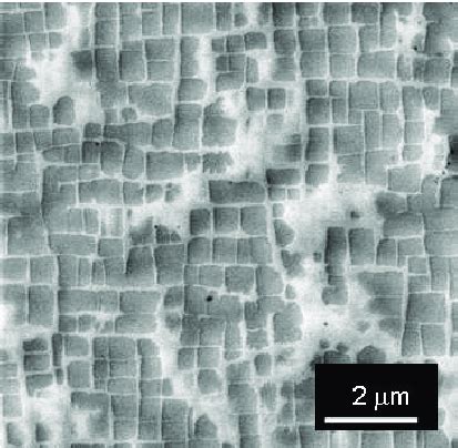 Microstructure Of A Single Crystal Nickel Base Superalloy 15