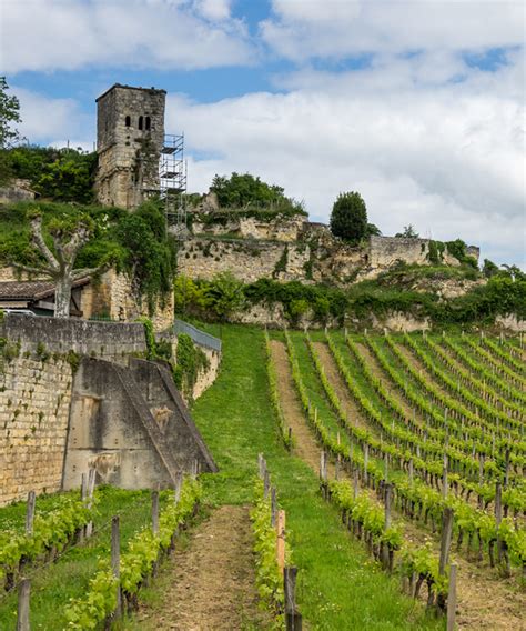 Quelle Horreur: Chinese Investor Renames Historic Bordeaux Vineyards ...