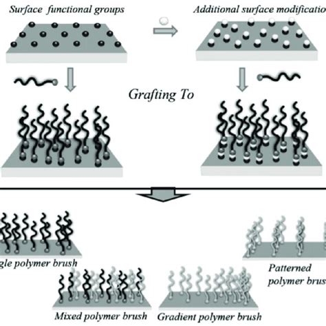 Schematic Representation Of The Grafting To Method Reprinted With