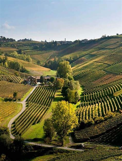 Langhe Nebbiolo Bric Del Baio Ca Del Baio Cl Rasch Vin