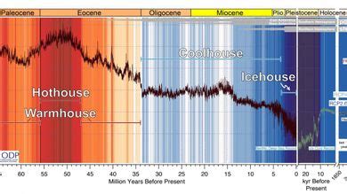 Un Registro Naturale Di 66 Milioni Di Anni Di Clima Terrestre Le Scienze