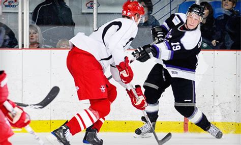 Texas Brahmas – Half Off Outing for Two - Lone Star Brahmas | Groupon