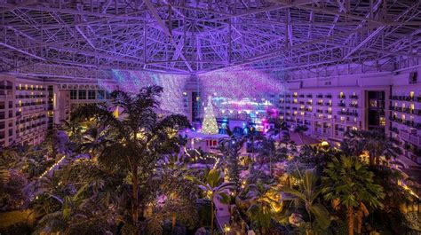 Orlando Christmas Accommodations | Christmas at Gaylord Palms