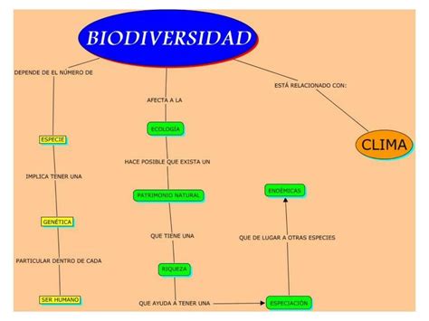 Mapa Conceptual De La Biodiversidad 2 Mapasytemas10 Udocz