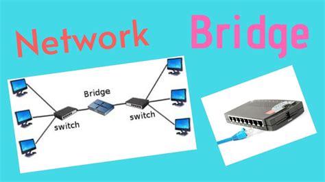 What Is Bridge In Networking Its Basics And Purpose Of Bridgeandtypes Of