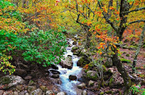 Otoño en el Valle del Jerte