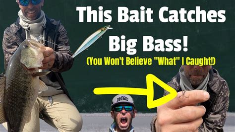 This Bait Catches Big Bass You Wont Believe What” I Caught Youtube