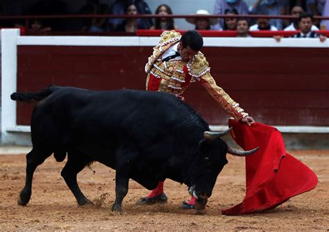 Cómo Se Originaron Las Corridas De Toros En México Y Cuál Fue El Papel De Hernán Cortés Infobae