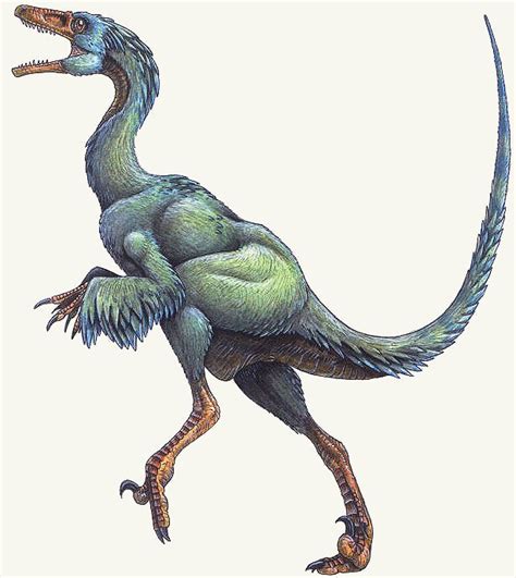 Top 10 Feathered Dinosaurs