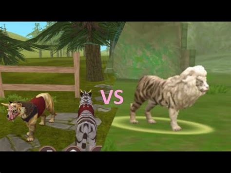 Tiger Fam Vs Tigon King Youtube