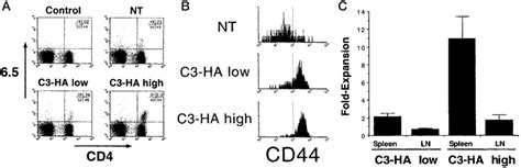 FACS Analysis Of Clonotypic HA Specific CD4 Cells After Adoptive