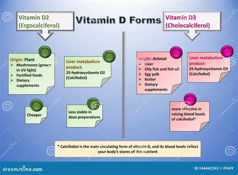 Vitamin D Forms. D2 (ergocalciferol) and Vitamin D3 (cholecalciferol ...