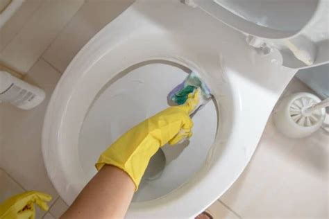 How To Clean Under Toilet Rim Stains Rings And Limescale