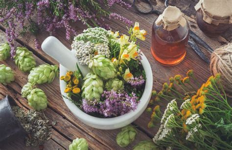 Sant Au Naturel Avantages Se Soigner Par Les Plantes