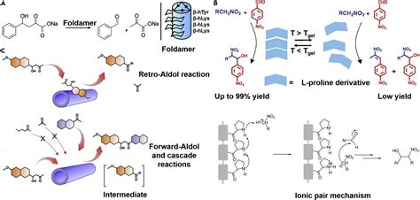 Supramolecular Enzyme Mimicking Catalysts Self Assembled From Peptides