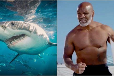 Mike Tyson Se Enfrentar A Un Tibur N Blanco