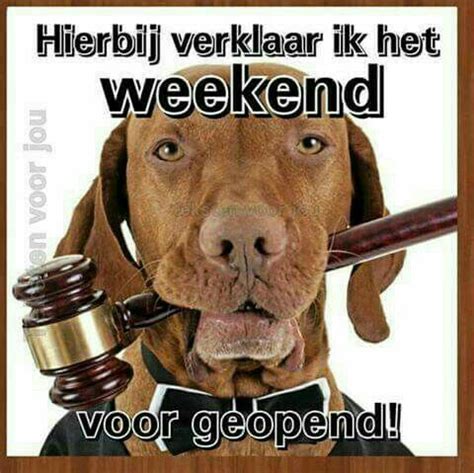 Pin Van Carolien Crols Op Weekend Grappig Complimenten Weekend