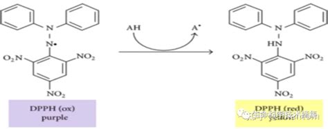 体外清除自由基实验protocol Abts和dpph法 知乎