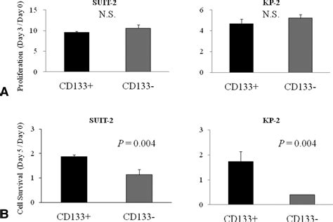 Enhanced Cell Migration And Invasion Of Cd133 Pancreatic Cancer Cells