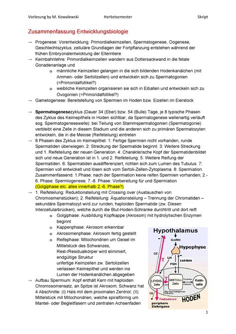 Zusammenfassung Grundlagen Anatomie Und Physiologie