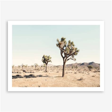 Landscape Art Prints & Posters | Free Shipping & Returns | Shop Fy! Art