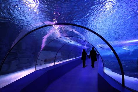 Antalya Aquarium / Bahadir Kul Architects | ArchDaily