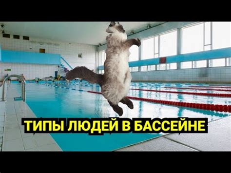 ТИПЫ ЛЮДЕЙ В БАССЕЙНЕ - YouTube