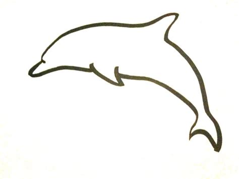 Dolphin - Drawing Skill