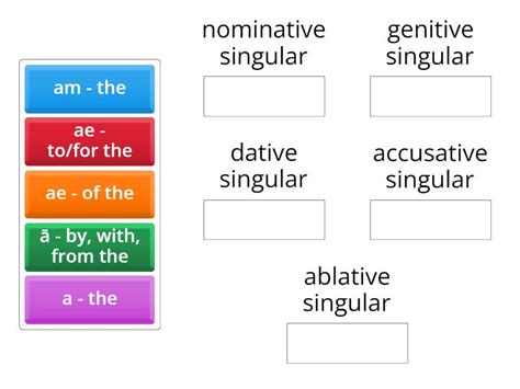 Latin 1st Declension Singular Noun Endings, Cases, and Translation - Group sort