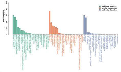 Histogram Of Gene Ontology GO Classification The Results Are