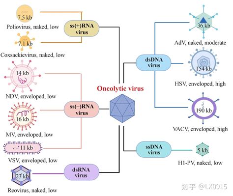 Oncolytic Virus Ovs