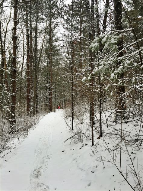 Crooked Lake Trail At Pinckney State Recreation Area Christine Bedenis