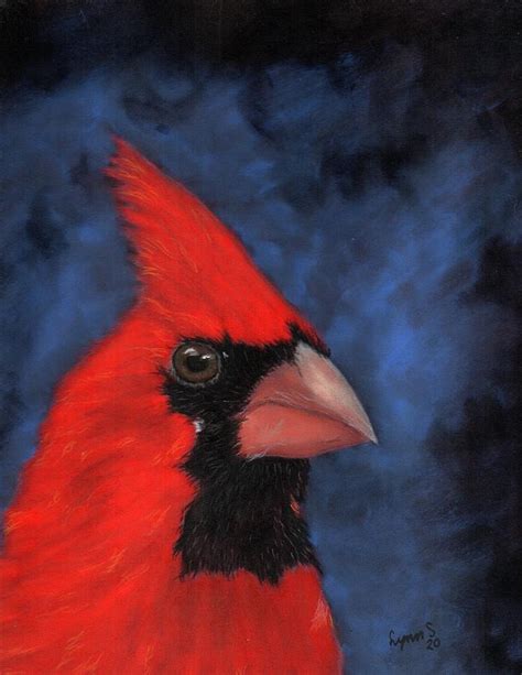 Male Cardinal Pastel By Dreamz Fine Art America