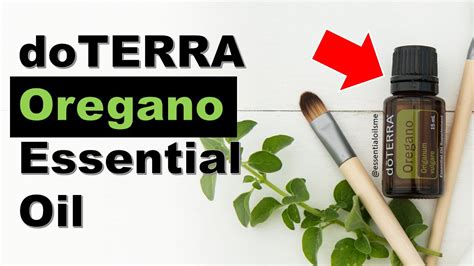 Doterra Oregano Essential Oil Benefits And Uses