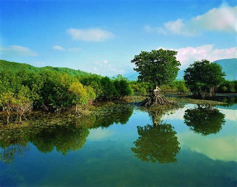 2016东寨港红树林自然保护区旅游攻略门票地址游记点评海口旅游景点推荐 去哪儿攻略社区