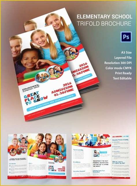 Elementary School Brochure Template Free Of Education Brochure Template ...