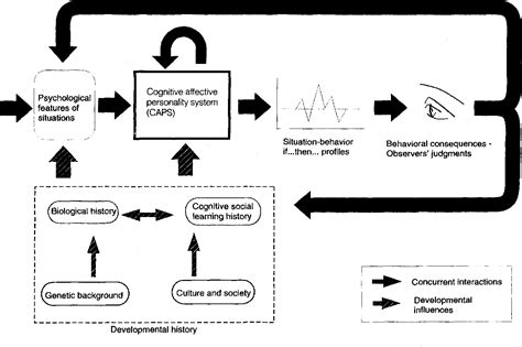 Figure 5 From A Cognitive Affective System Theory Of Personality