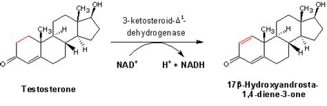 Eawag Bbd Reaction Reacid R1284