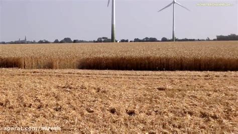 Combine Harvester Claas Lexion 780 In ACTION