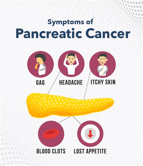 Pancreas: Function, Location, Diseases & Disorder