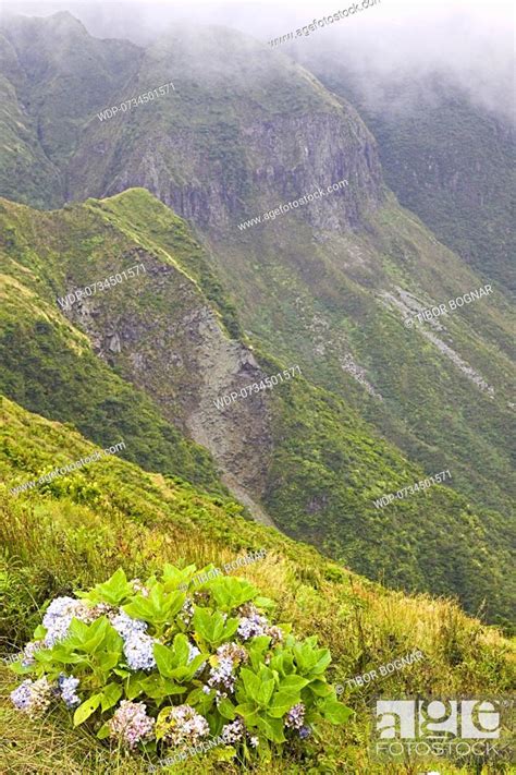 Portugal Azores Faial Island Caldeira Do Cabeco Gordo Volcanic