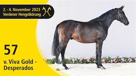 Verden Stallion Licensing 2023 Dressage Nov 2 4 No 57 Stallion