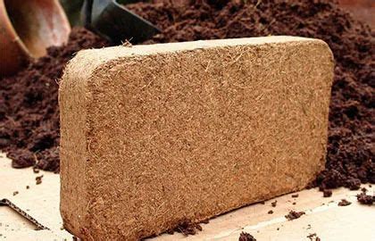 Coco Peat 5 Kg Blocks Coco Bricks At Best Price In Madurai ID