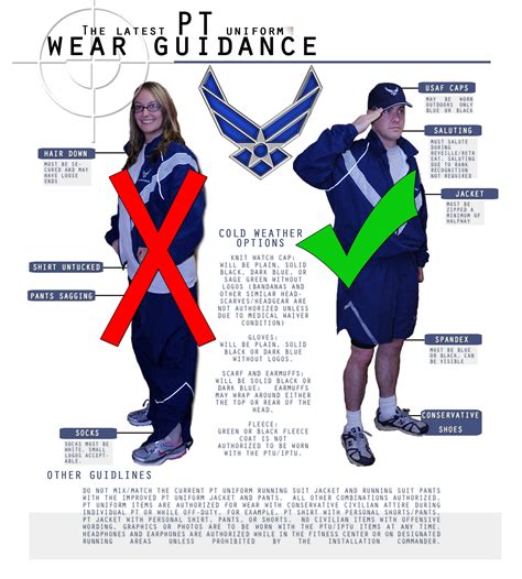 Air Force Pt Standards 2025 Dell Ofelia