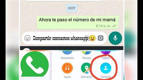 Cómo Enviar Un Contacto Por Whatsapp Mandar Número Tutorial Explicado