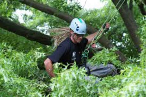 SunLive Te Puke Tree Climber Representing NZ The Bay S News First