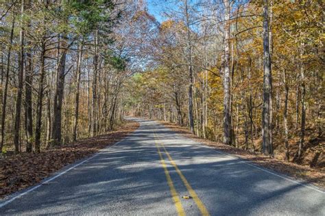 119 Mississippi Countryside Road Stock Photos Free And Royalty Free