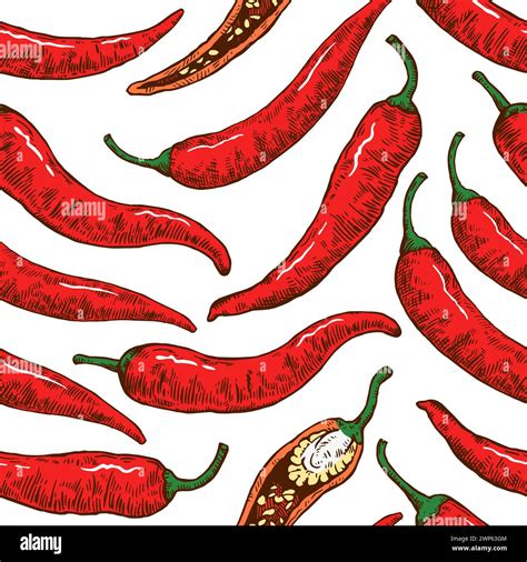 Seamless Pattern With Hand Drawn Chili Peppers Vector Illustration In